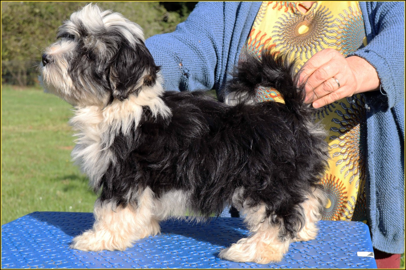 Anton du Buisson de la Passée Du Buisson De La Passée